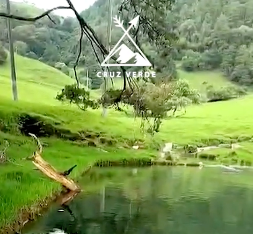 Naturaleza por todos lados